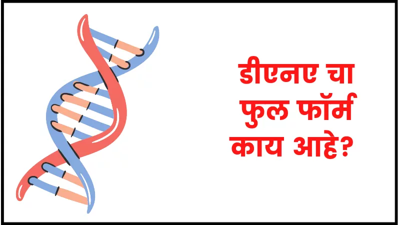 DNA full form in marathi