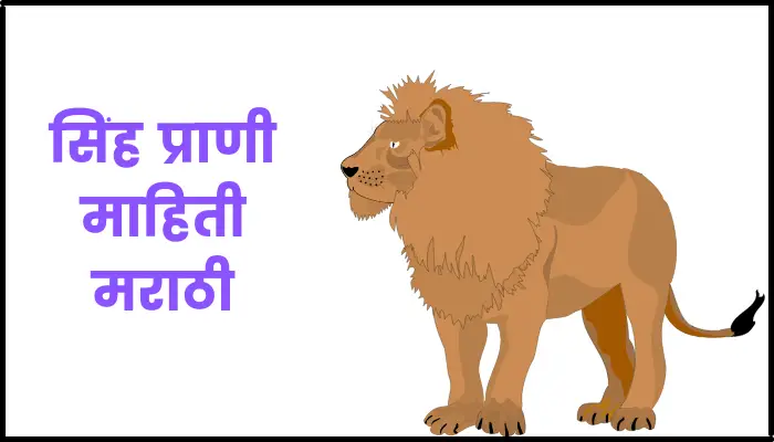 सिंह प्राणी माहिती मराठी | Lion Information in Marathi