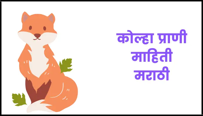 कोल्हा प्राणी माहिती मराठी | Fox information in marathi