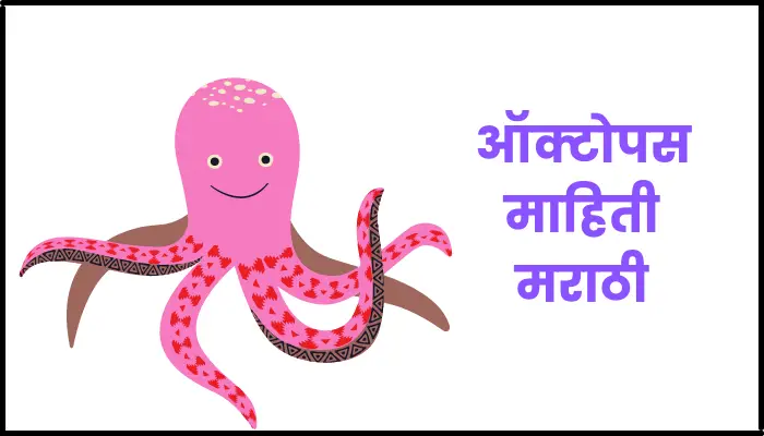 Octopus information in marathi