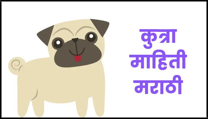 Dog information in marathi