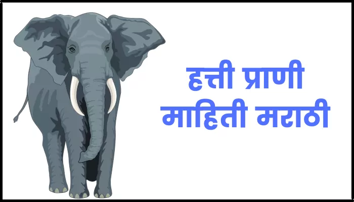 Elephant information in marathi