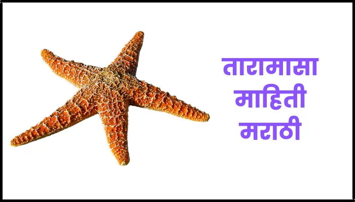 Starfish information in marathi