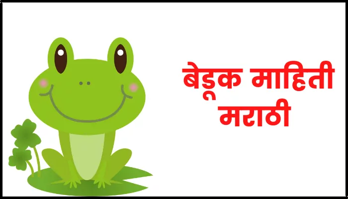 Frog information in marathi