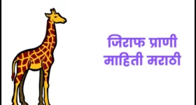 जिराफ प्राणी माहिती मराठी | Giraffe information in marathi
