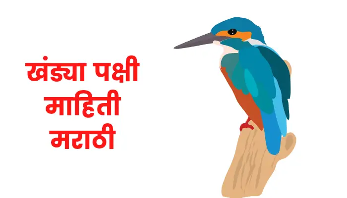 Kingfisher information in marathi