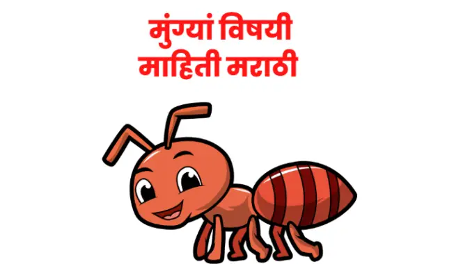 Ant information in marathi