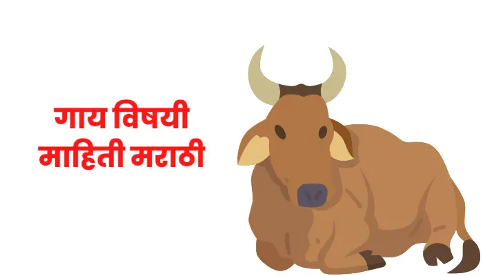 Cow information in marathi