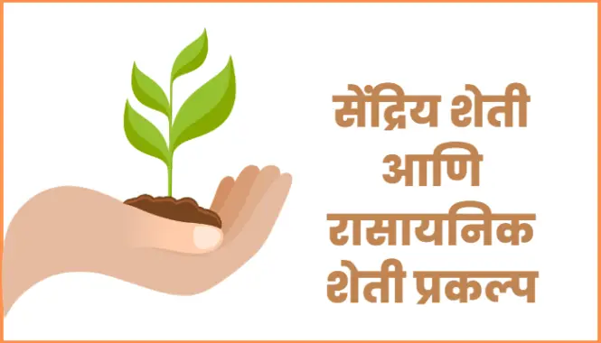 सेंद्रिय शेती आणि रासायनिक शेती प्रकल्प | Organic and chemical farming project in Marathi
