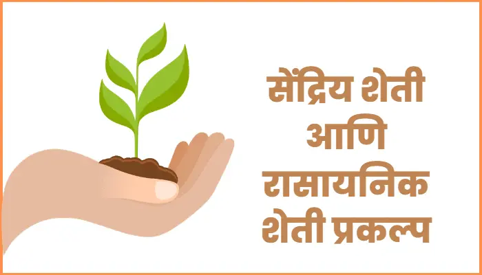 Organic and chemical farming project in Marathi
