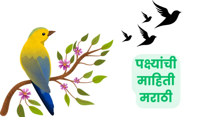 पक्ष्यांची माहिती मराठी | Birds information in Marathi